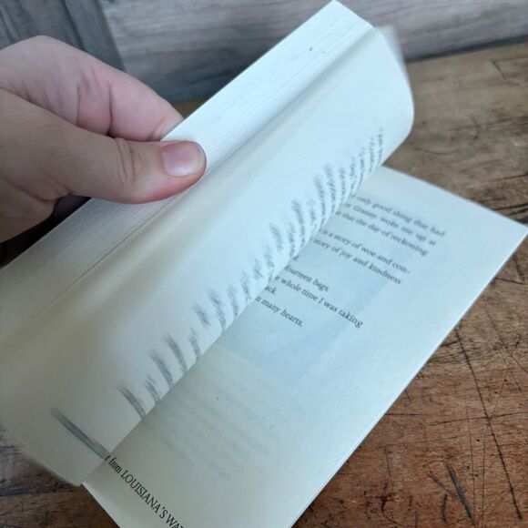 The Tiger Rising by Kate DiCamillo Paperback Book pre-read see pix for wear - Picture 5 of 6